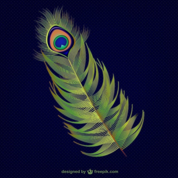 Download Abstract peacock feather Vector | Free Download