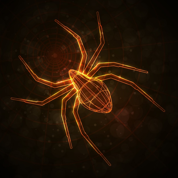 Premium Vector | Abstract spider