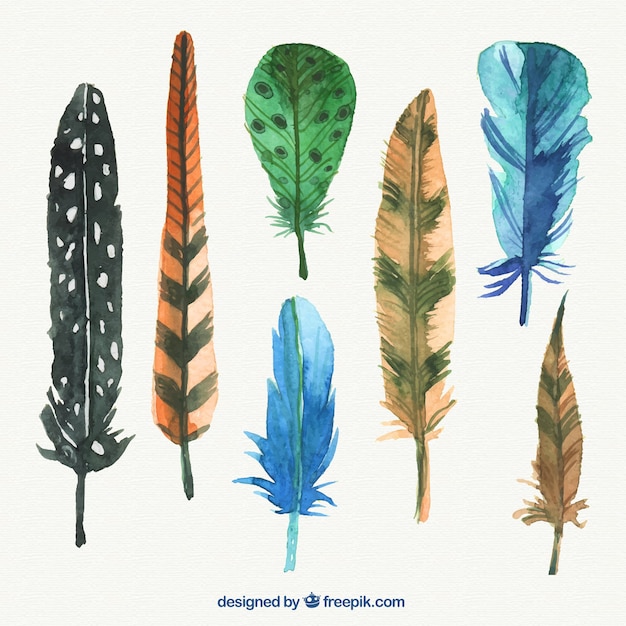 Abstract watercolor feathers pack Vector | Free Download