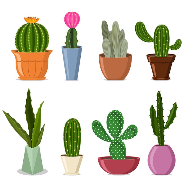 Sactuses In Pots Set Vector Illustration Of Home Decorative