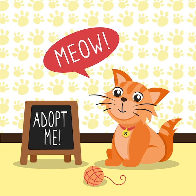 adopt a pet cat