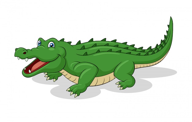 Premium Vector | Adorable crocodile cartoon