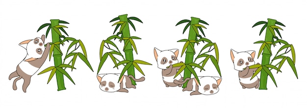 竹のイラストが愛らしいパンダ猫 プレミアムベクター