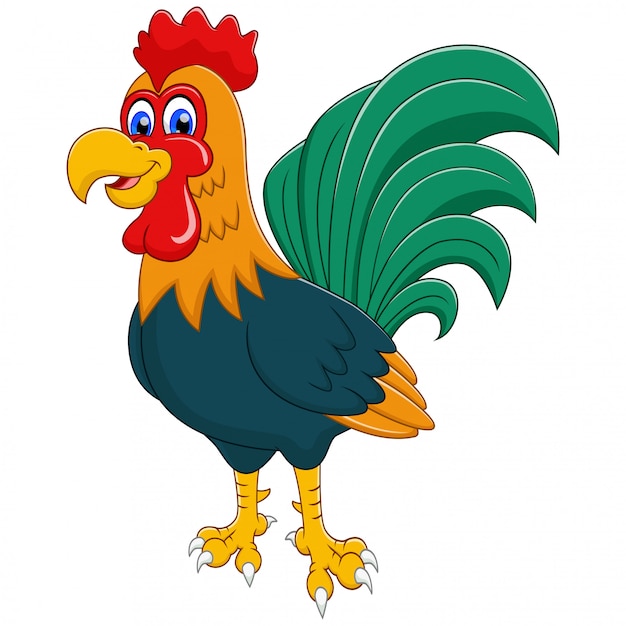 Premium Vector | Adorable rooster cartoon illustration