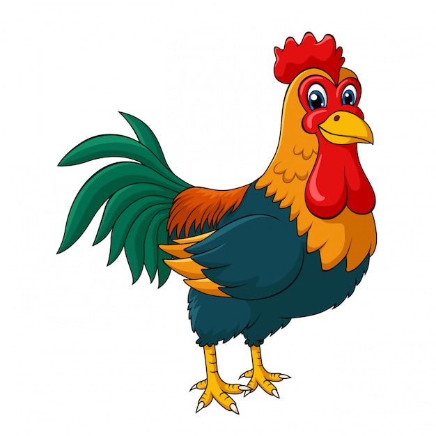 Premium Vector Adorable Rooster Cartoon