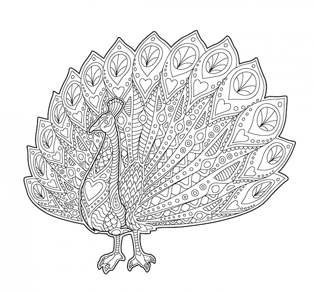 Premium Vector Adult Coloring Book Page With Funny Peacock