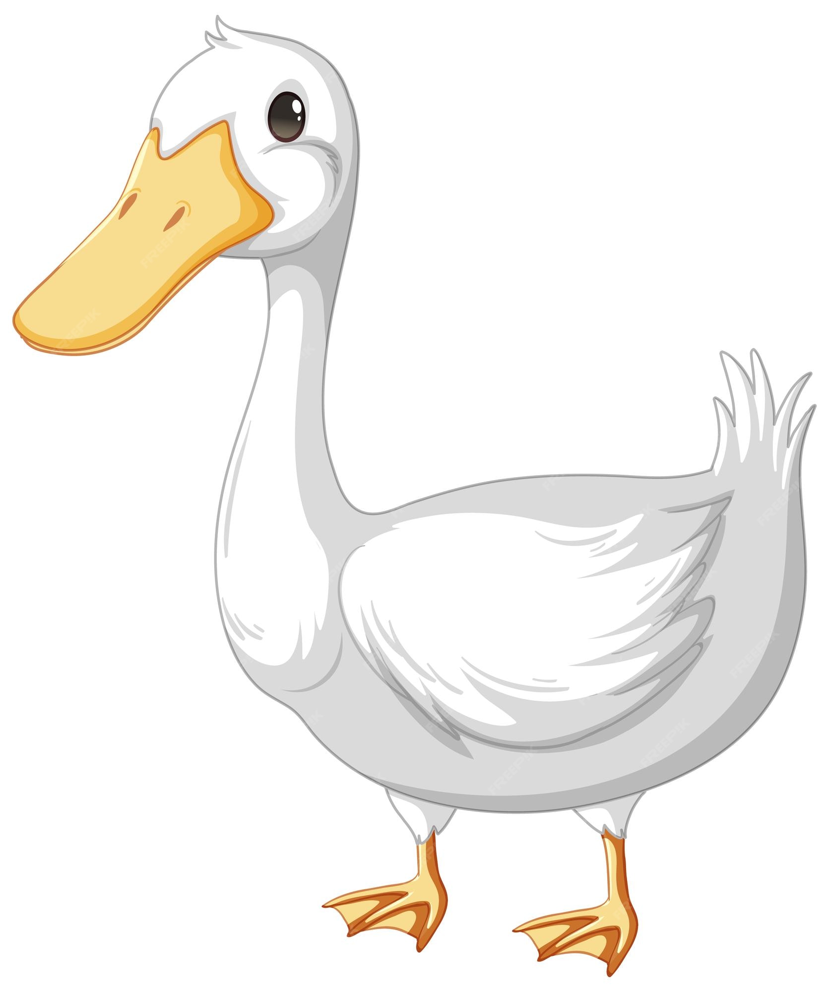 Premium Vector | An adult duck in cartoon style isolated on white ...