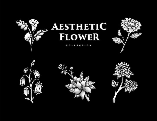Download Free Aesthetic Flower Collection Premium Vector Use our free logo maker to create a logo and build your brand. Put your logo on business cards, promotional products, or your website for brand visibility.