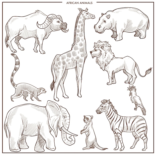 Premium Vector African Animals And Birds Sketch Vector Isolated Buffalo Ox Giraffe Or Hippopotamus And Lion