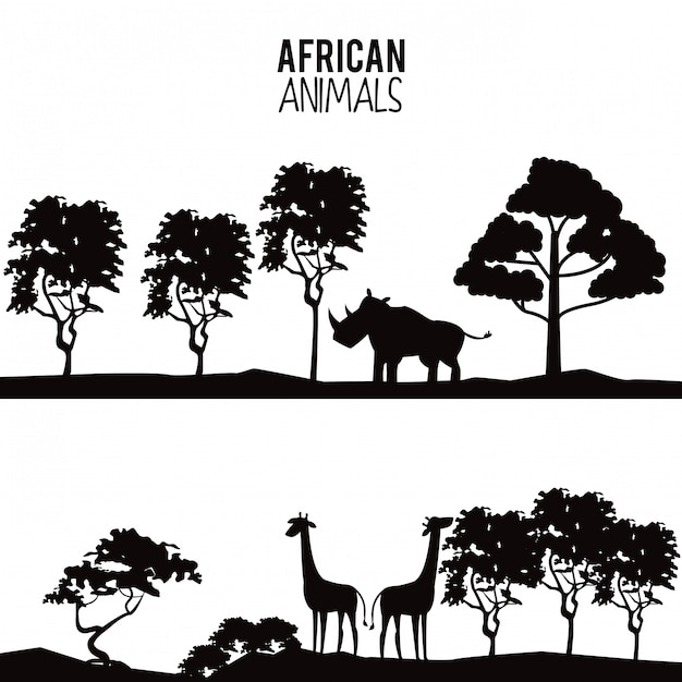 Premium Vector | African animals silhouettes