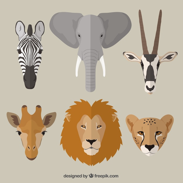 Download African animals | Free Vector