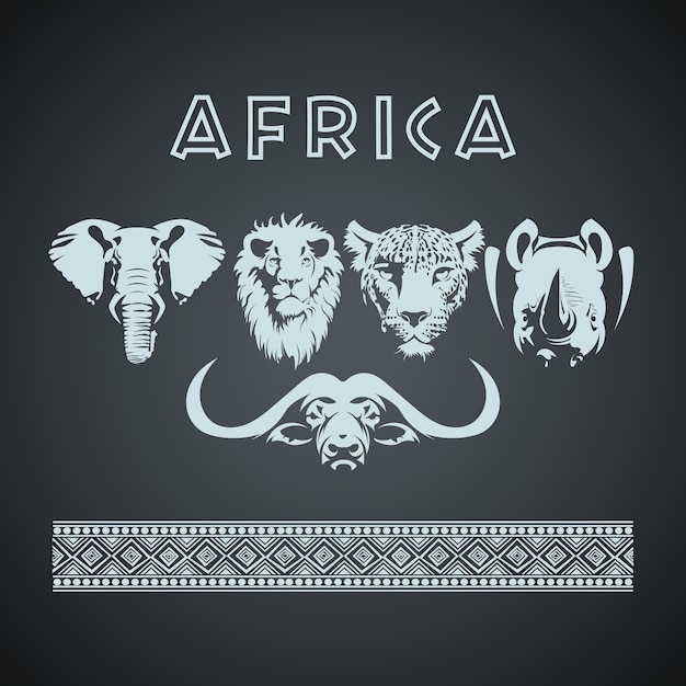 African Big Five Animals And Pattern Vector | Premium Download