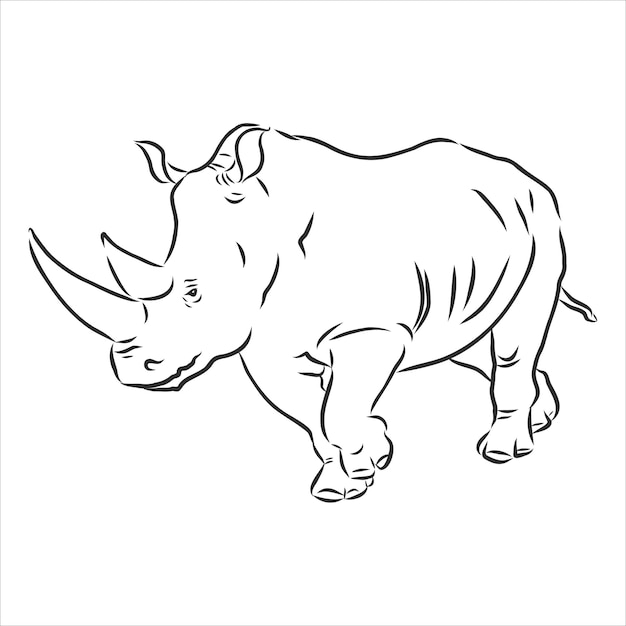 Premium Vector | African rhinoceros wild animal sketch, ink. vector ...