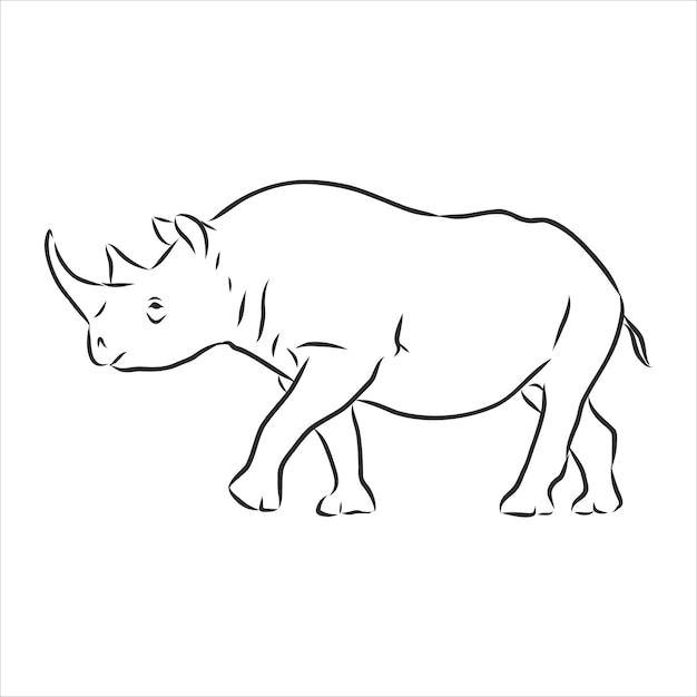 Premium Vector | African rhinoceros wild animal sketch, ink. vector ...