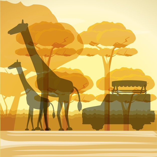 safari design images