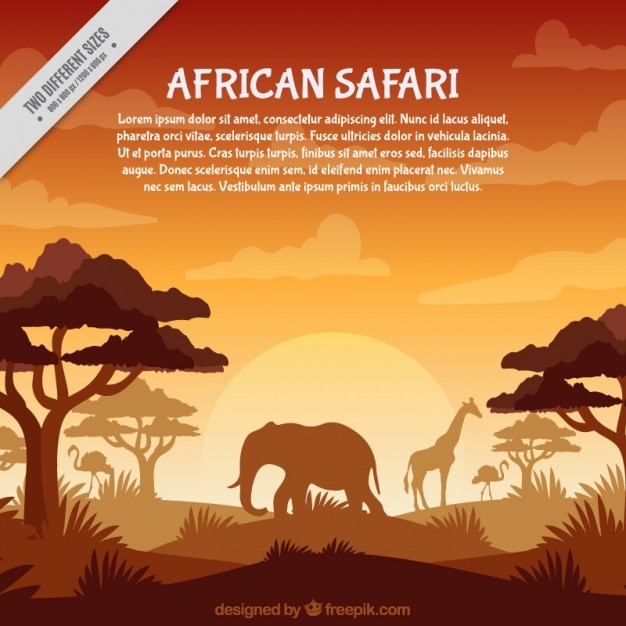 African safari in orange tones