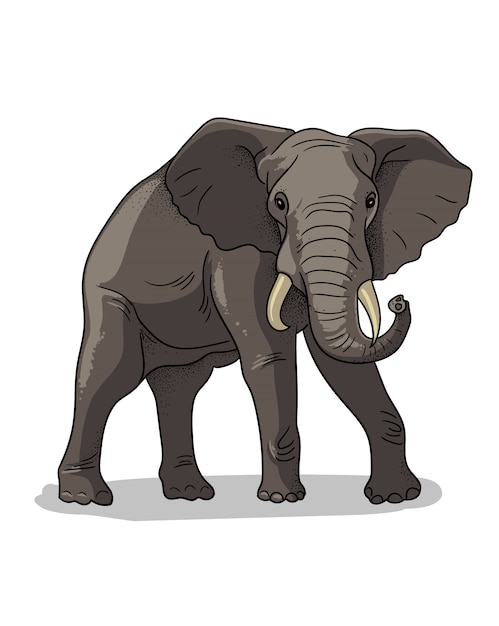 African savannah standing elephant isolated in cartoon style ...