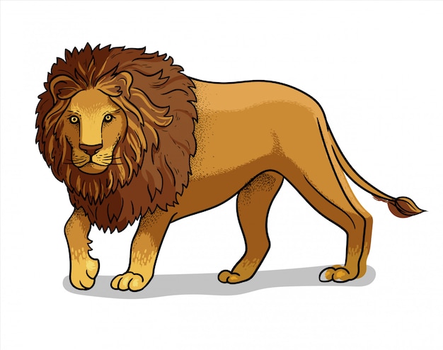 漫画のスタイルで分離されたアフリカのサバンナ立っている雄ライオン 本の絵を着色教育動物学イラスト プレミアムベクター