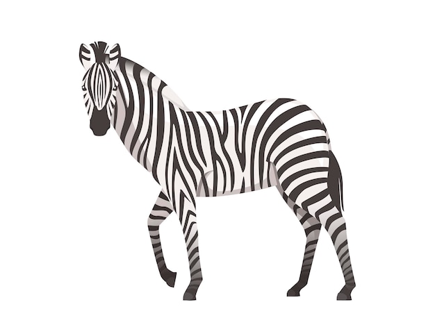 アフリカのシマウマの側面図漫画動物デザインフラットベクトルイラスト白い背景で隔離 プレミアムベクター