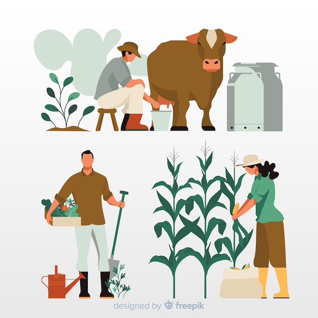Free Vector | Agricultural workers design for illustration