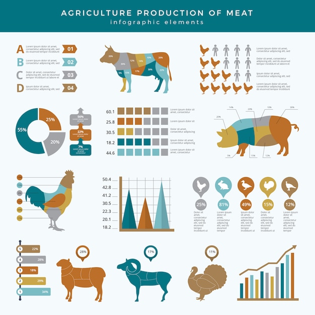 Agriculture farming infographic. food animals farm technology nutrition