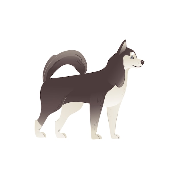 アラスカンマラミュートまたはシベリアンハスキーのかわいい北血統の犬の漫画 家畜またはペットの子犬のキャラクター プレミアムベクター