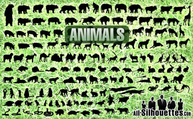 All animals vector set