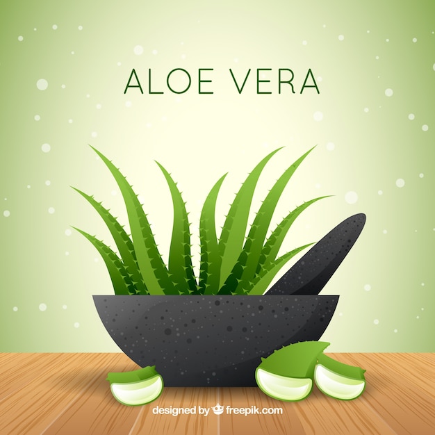 Free Vector Aloe Vera Background In Flat Design