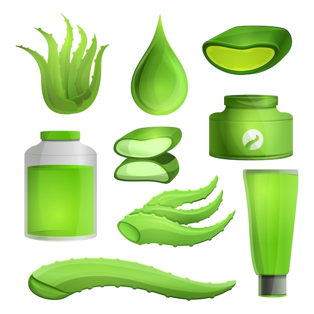 Aloe vera icon set, cartoon style | Premium Vector