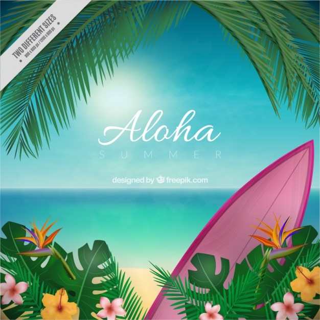 Aloha blurred background Vector | Free Download