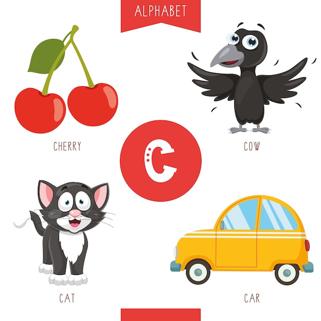 Alphabet letter c and pictures Vector  Premium Download