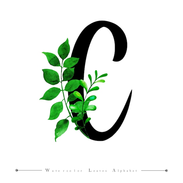 Premium Vector Alphabet Letter C With Watercolor Leaves Background
