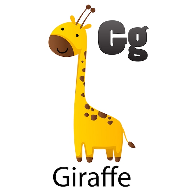 Premium Vector | Alphabet letter g-giraffe