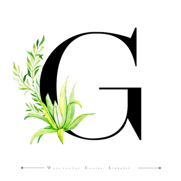 Premium Vector | Alphabet letter g with watercolor cactus