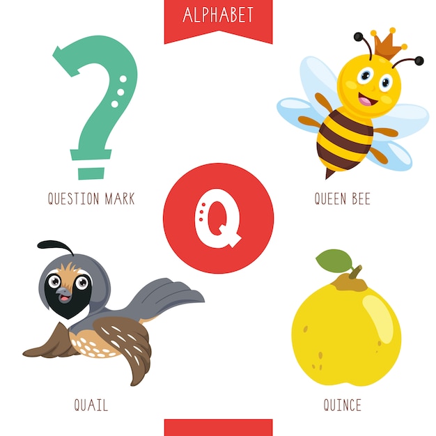 Alphabet letter q and pictures | Premium Vector