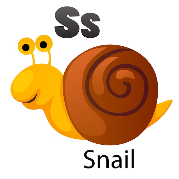 Premium Vector | Alphabet letter s-snail