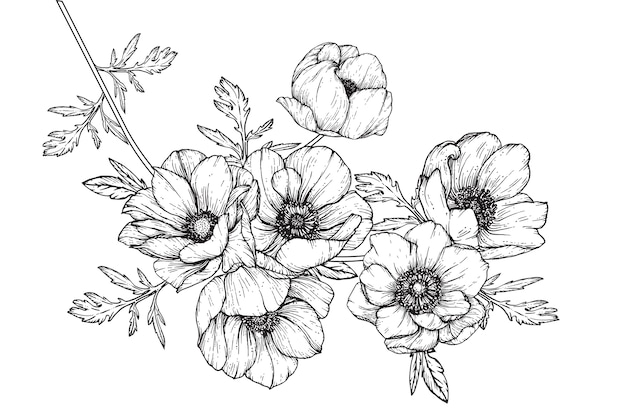 アネモネ葉と花の図案 プレミアムベクター