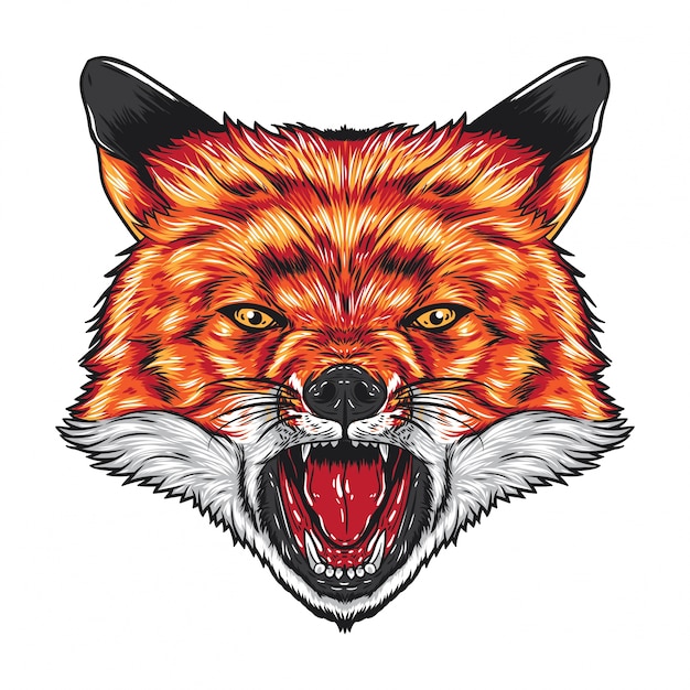 Premium Vector Angry Fox Face