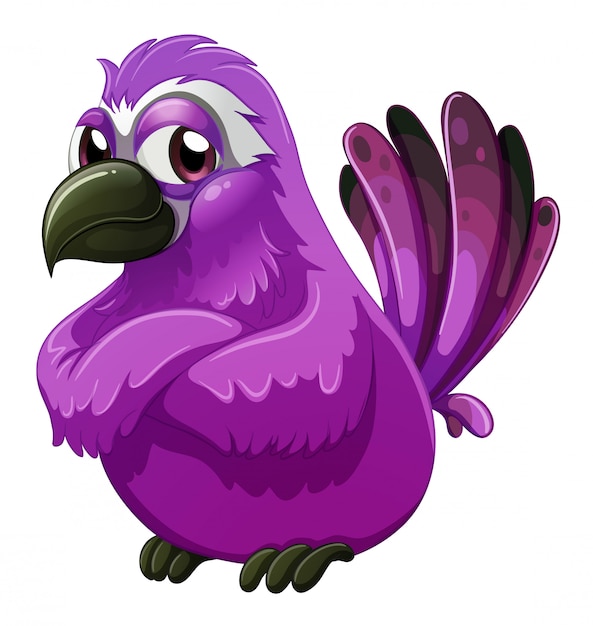 Download Vector Angry Birds Logo PSD - Free PSD Mockup Templates