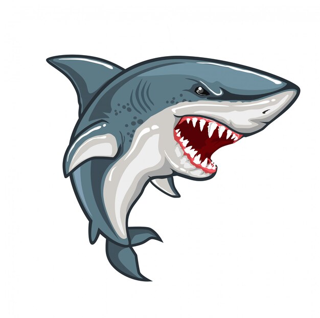 Premium Vector | Angry shark