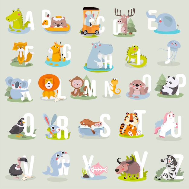 Premium Vector | Animal alphabet graphic a to z. cute vector zoo ...