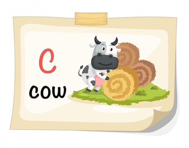 Premium Vector  Animal alphabet letter c for cow illustration vector