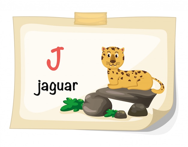 Premium Vector | Animal alphabet letter j for jaguar illustration vector