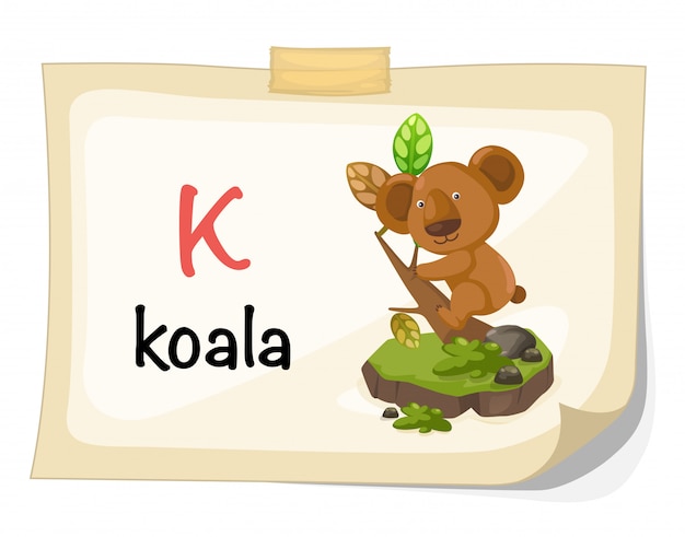 コアラのイラストの動物のアルファベット文字k プレミアムベクター