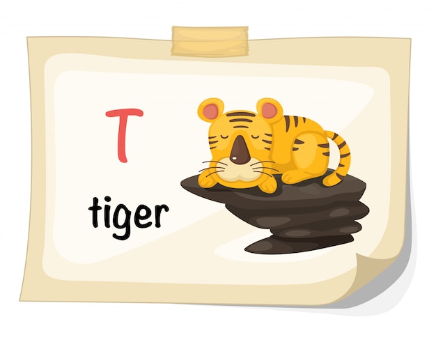 Premium Vector Animal Alphabet Letter T For Tiger Illustration Vector