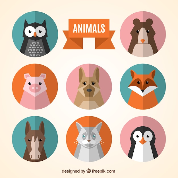 Animal avatars collection