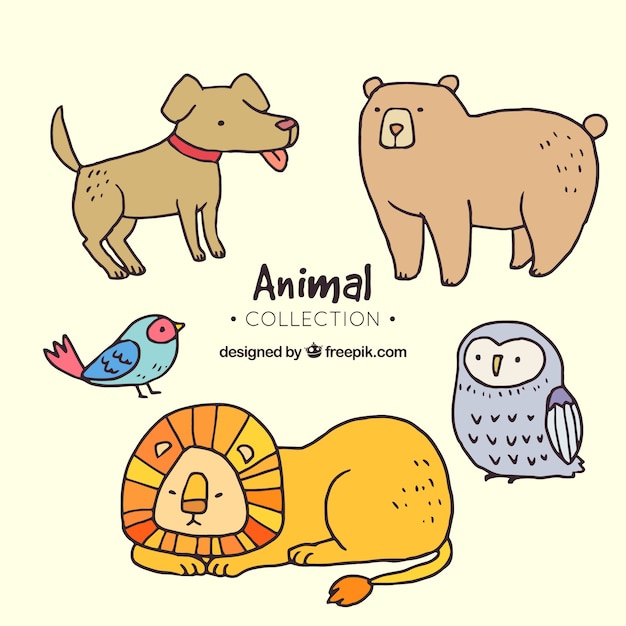 Animal collection with hand drawn style