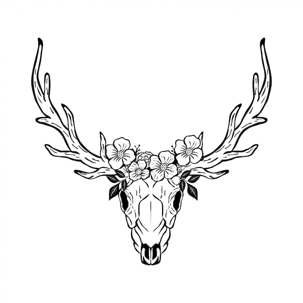 Premium Vector Animal deer skull head with floral design