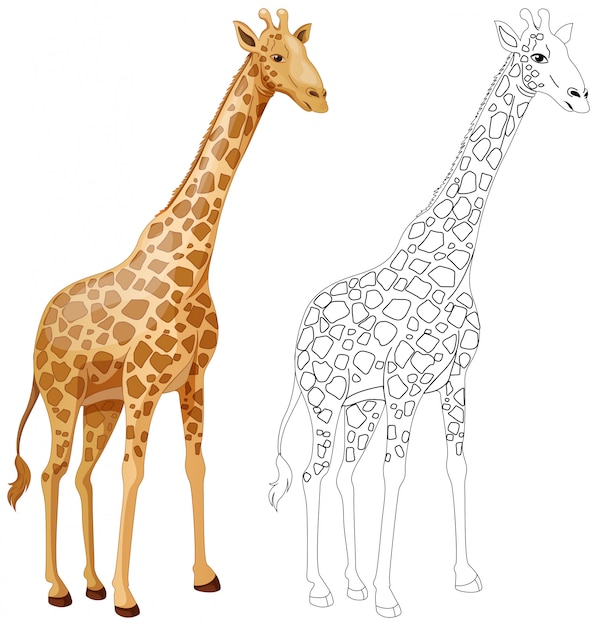 Download Free Vector | Animal outline for giraffe