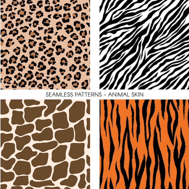 lost zebra designer pro license lost zebra designer pro license